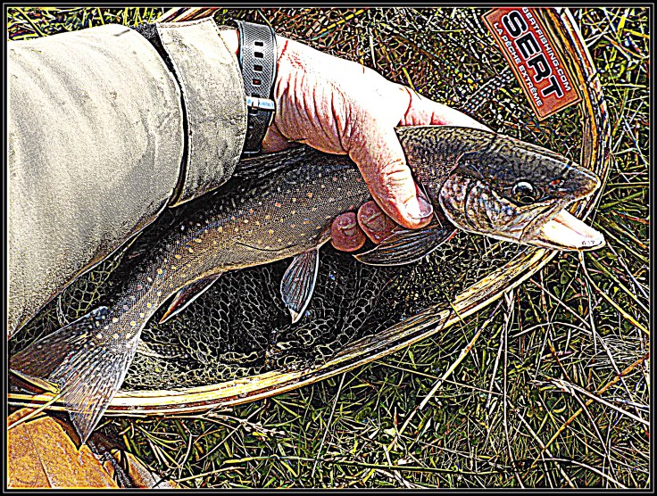 PERMETURE SERVIERE 2 - Copie (2)