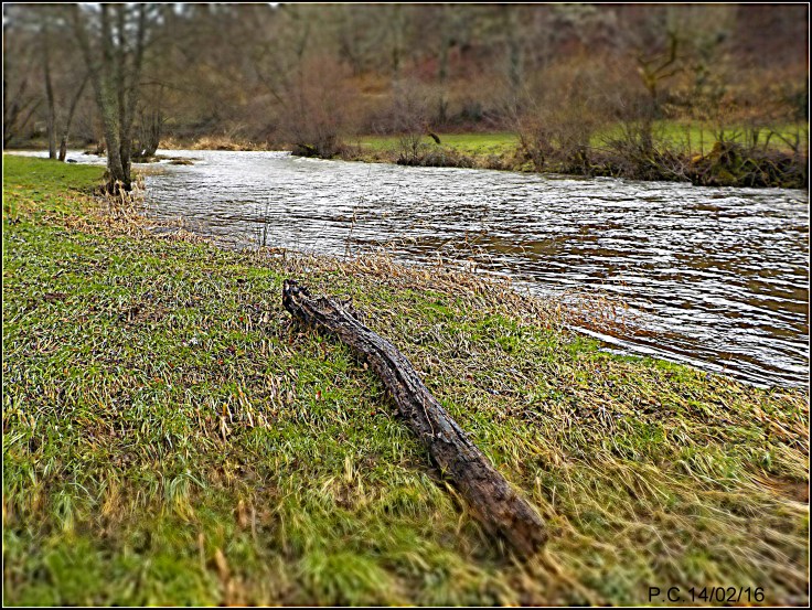 RRRRRRRRRRRRRRRRRRRRRRRRRRRRRRRRRRRRRRR