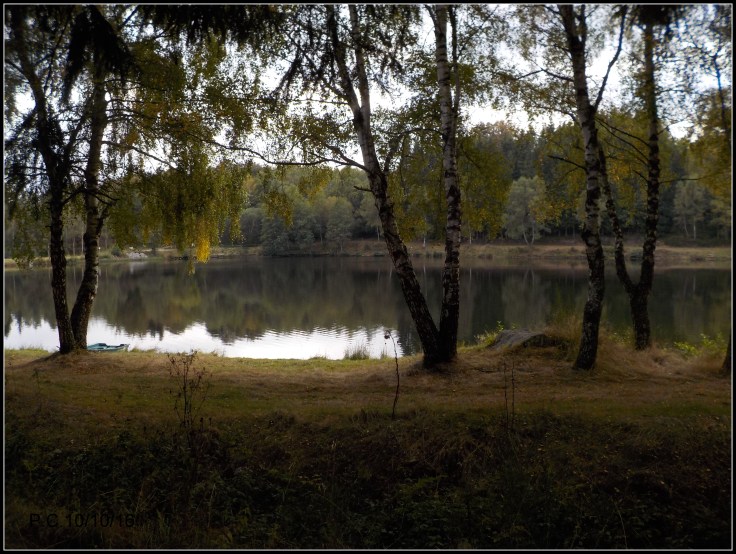 banson-1
