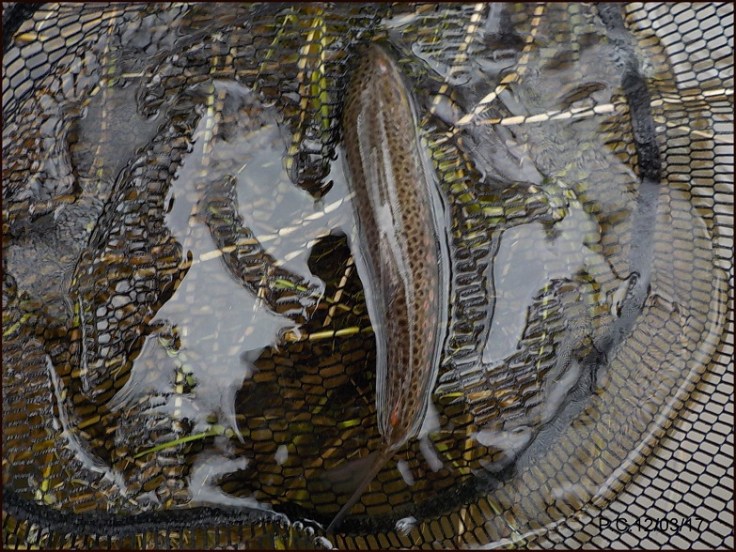 OUBB1wwwwwwwwwwwwwwwwwwwww