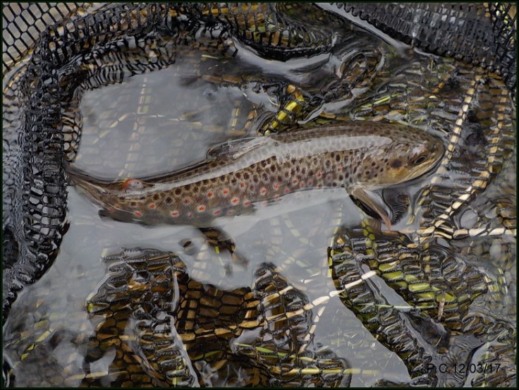 OUBB2wwwwwwwwwwwwwwwwwwwwwwww