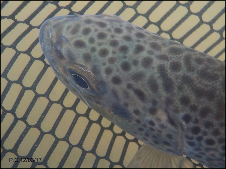 OUBB3wwwwwwwwwwwwwwwwwwwwwwwwwwwwww