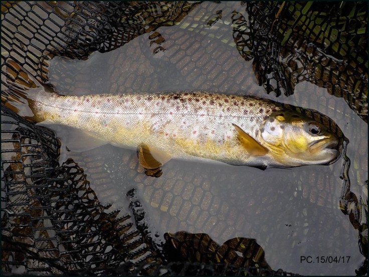 HHHHHHHHHHHHHHHHHHSSSSSSSSSSSSSSSSSS111111111111111111111