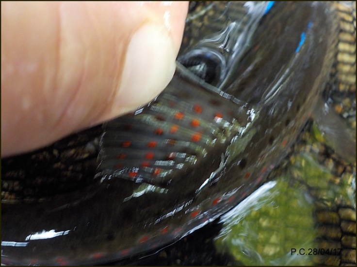 LCP10WWWWWWWWWWWWWWWWWWW