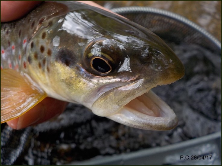 LCP11WWWWWWWWWWWWWWWWWWWWWWW