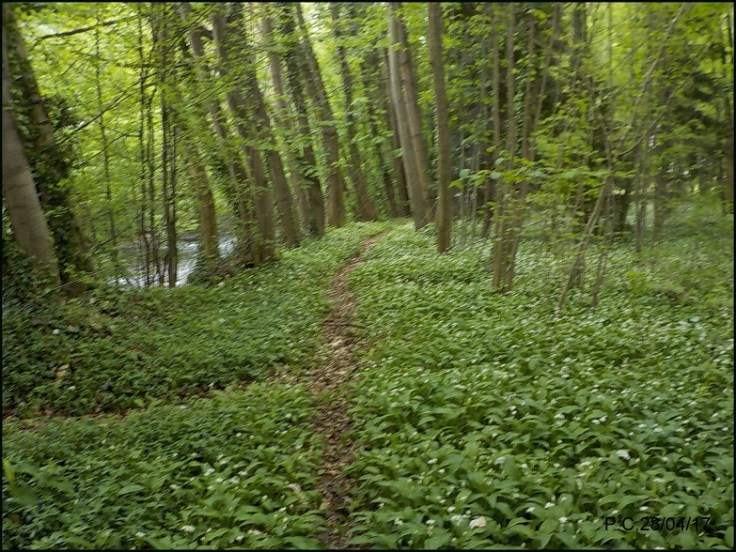 LCP3WWWWWWWWWWWWWWWWWWWWWWW