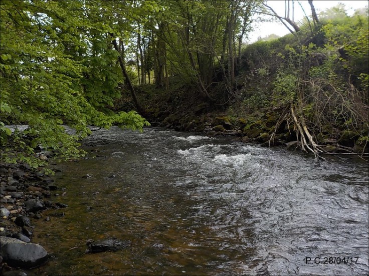 LCP9WWWWWWWWWWWWWWWWWW