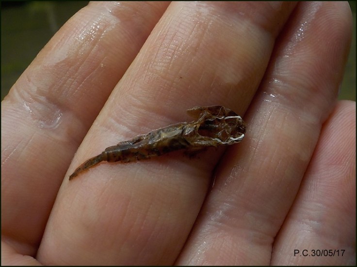 MDM4444444444444444444444444W