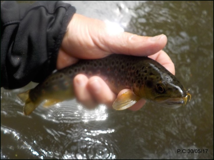 MDM5555555555555555555555555W