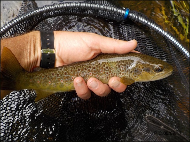 05999999999999999999944444444444444444444WWWWWWWWWWWWWW