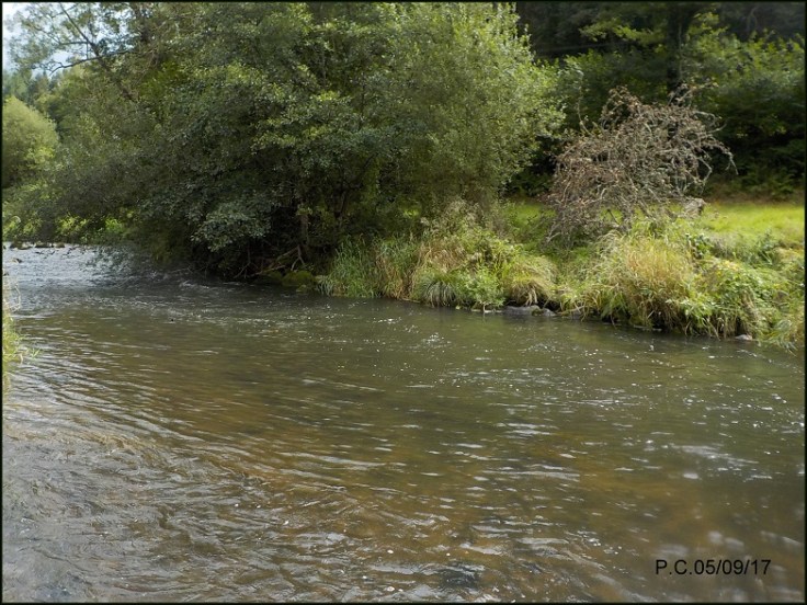 059999999999999999999993WWWWWWWWWW