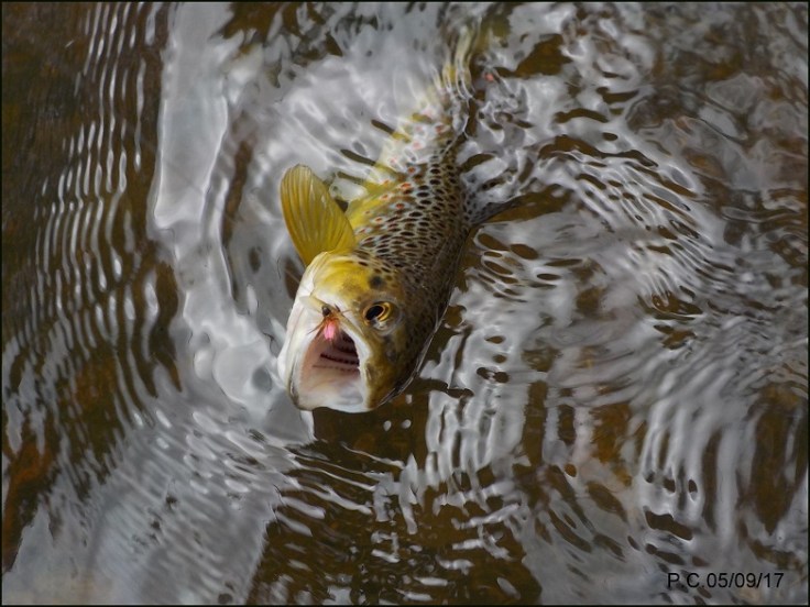 05999999999999999999999999999991111111111111111111WWWWWWWWWWWWWWWWWW