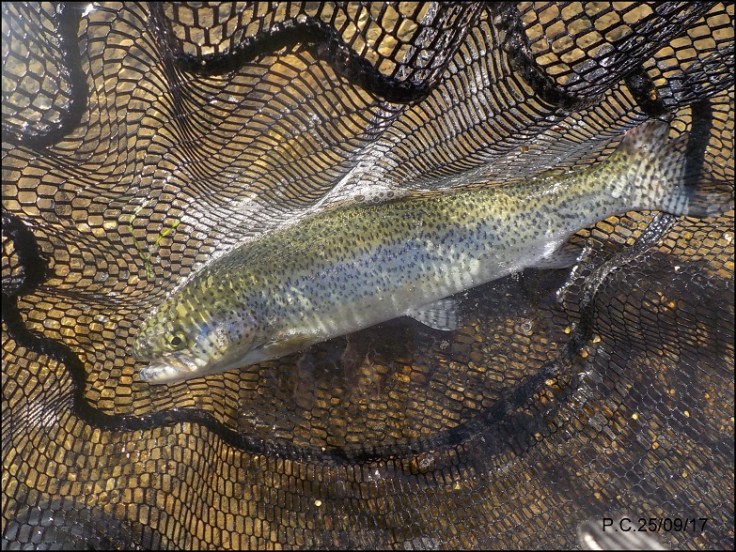 DSCN3767wwwwwwwwwww1