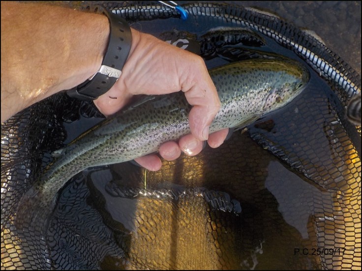 DSCN3768wwwwwwwwwwwwww2