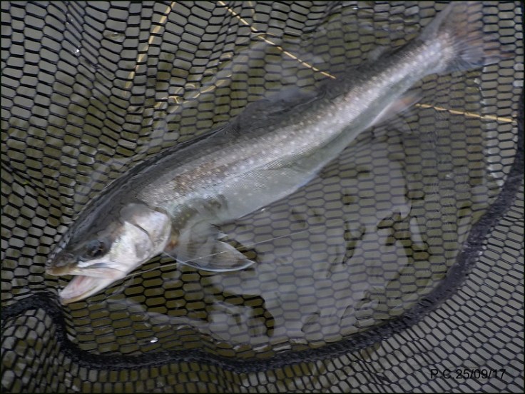 DSCN3773wwwwwwwwwwwwwwwwww4