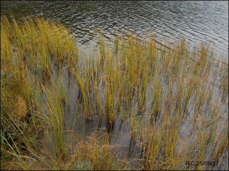 DSCN3776wwwwwwwwwwwwwwwfinnnnnnnnnnnnnnnnnnn