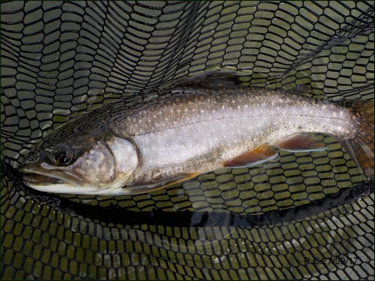 OOOA1WWWWWWWWWWWWWWWWWWWW1