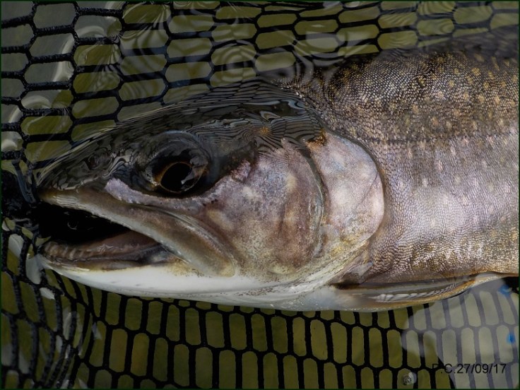 OOOB2WWWWWWWWWWWWWWWWWWWWWWW22222222222222