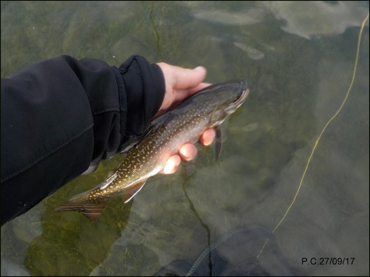 OOOD4WWWWWWWWWWWWWWWWWWWW44444444444444444444444