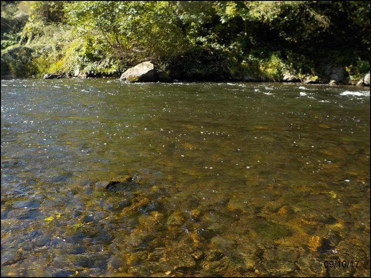 LANSER A4WWWWWWWWWWWW3333333333333333333333333333..........