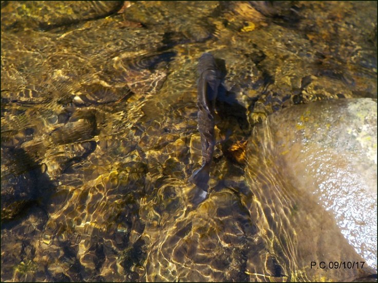 LANSERV A 3WWWWWWWWWWWWWWWWWWWWDDDDDDDDDDDDDDDDDDDDDD4