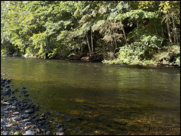 LANSERV A1WWWWWWWWWWWWWWWWWWWW111111111111