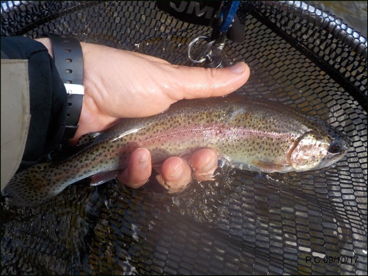 LANSERVWWWWWWWWWWWWWW3