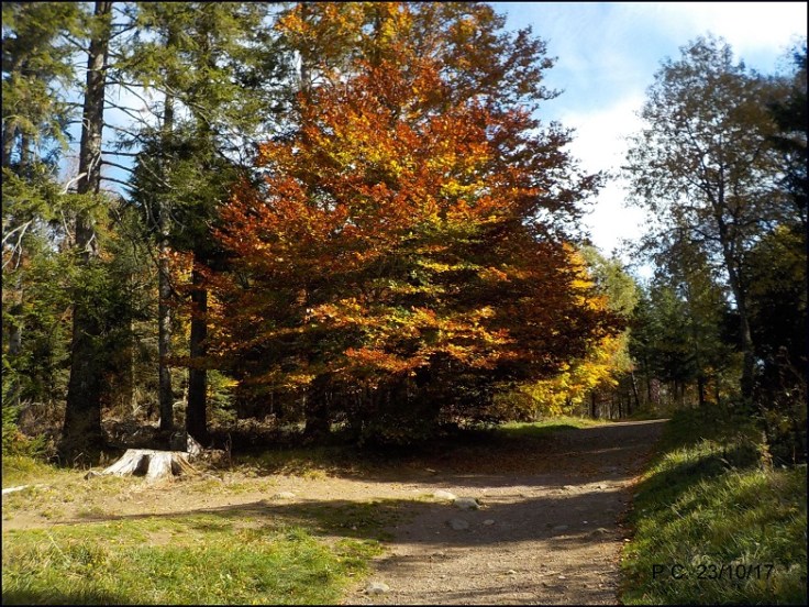 LE CHEMIN DE LA FERMETURE .WWW1