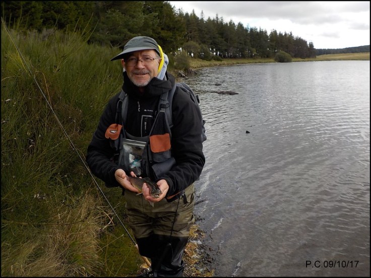 SEROFIN 4WWWWWWWWWWWW4