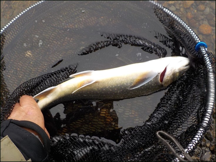 SEROO2WWWWWWWWWWWWWWWWW2