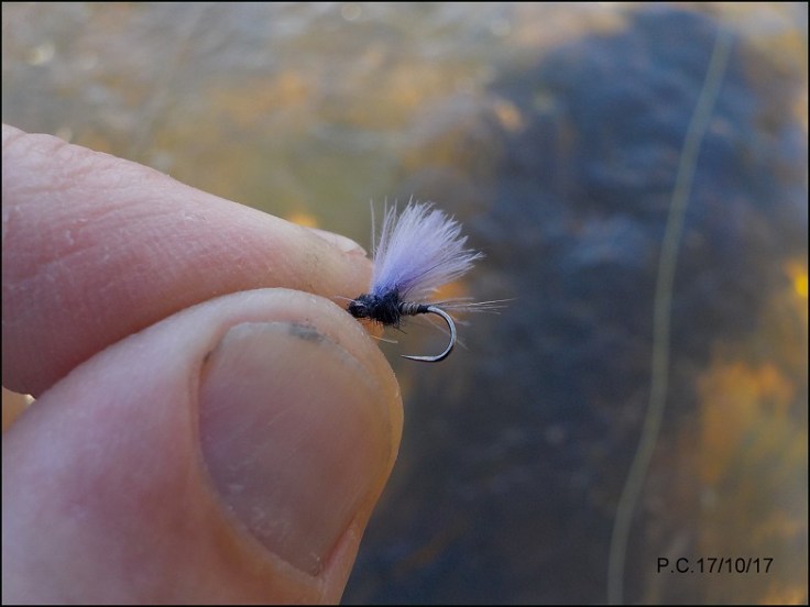 TB6MMMMMMMMMMMMMMMwwwwwwwwwwwwwww