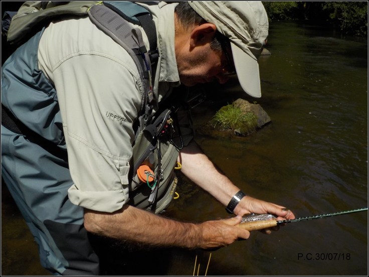 P4444444444444444444444W444444444444444444444444444