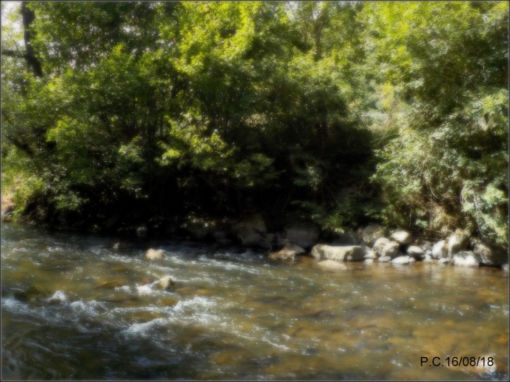 32.4PP2W2222222222222222