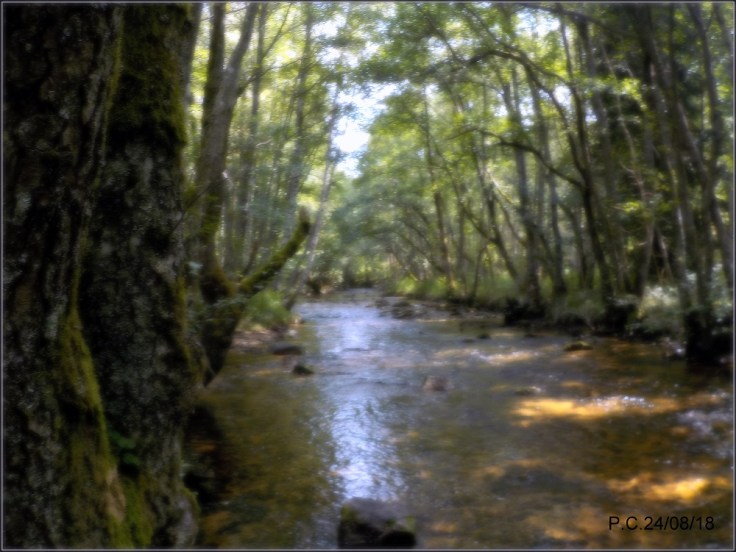 ANCPPPPPPPPPPPPPPPPPPPPPPPPPPPPWPPPPPPPPPPPP