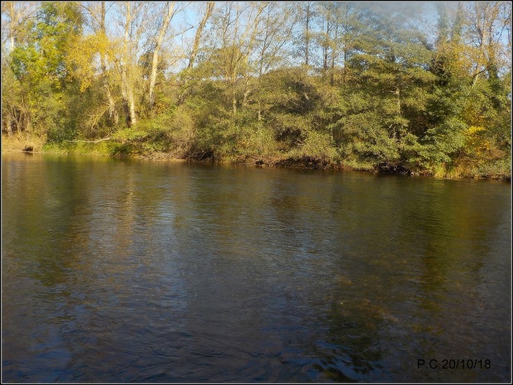 LLLLLLLLLLLLLLLLLLLLLLLLLLLLL2W2